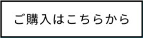 HA-NP1Tを購入する