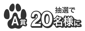A賞（抽選で20名様）