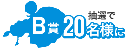 B賞（抽選で20名様）