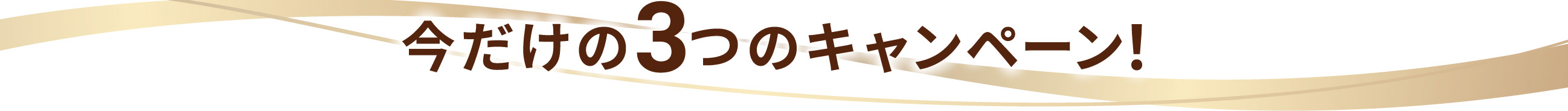 今だけの3つのキャンペーン