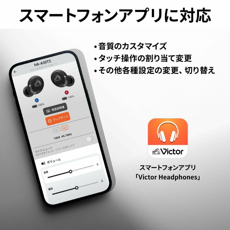 ワイヤレスイヤホン HA-A30T2 | JVCケンウッドストア