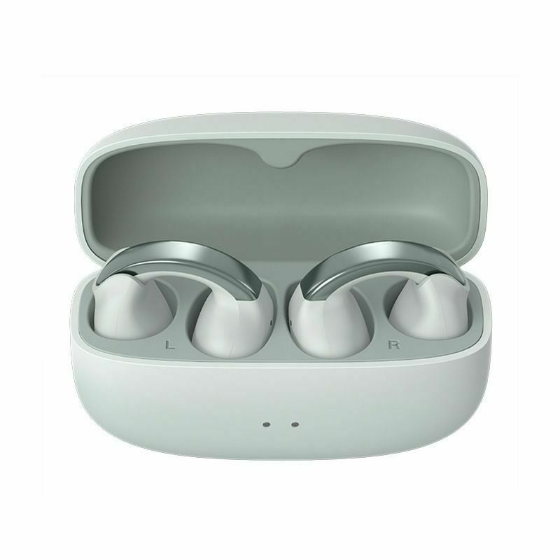 2週間お試し可能】ワイヤレスイヤホン HA-NP1T | JVCケンウッドストア