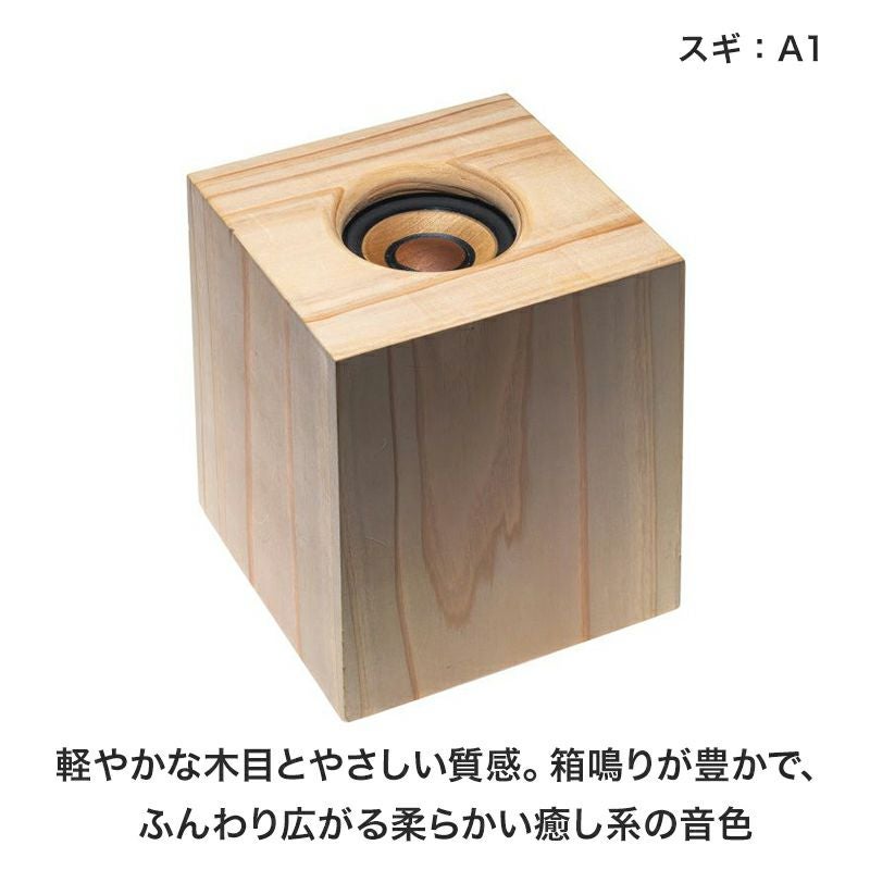 発送まで約1か月】ワイヤレスウッドスピーカー LIGNOTONE WDS-01 | JVC