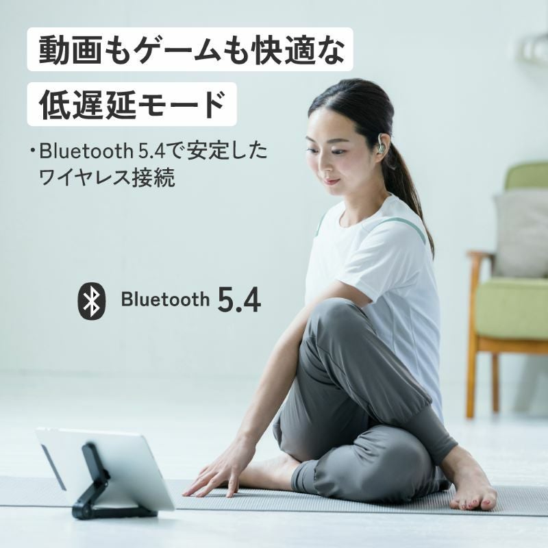 ワイヤレスイヤホン HA-EC77T | JVCケンウッドストア