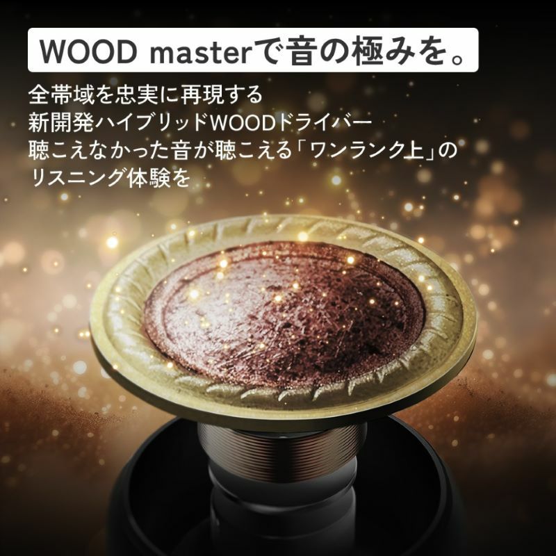 ワイヤレスイヤホン WOOD master | JVCケンウッドストア